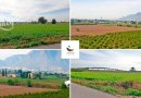 Callosa De Segura, Finca #CQ-SL-23062