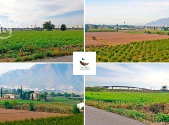 Callosa De Segura, Finca #CQ-SL-23062