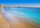 Santa Pola (Estacion de autobuses), Apartment #CQ-00-20632