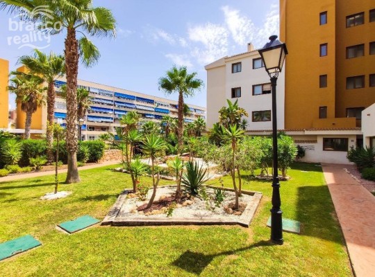 Apartmán - Punta Prima