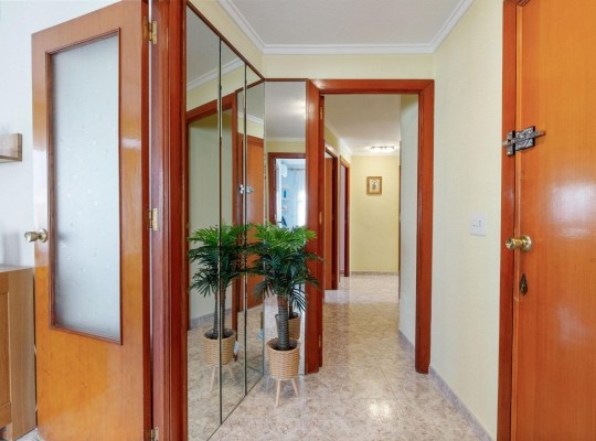 Torrevieja (torrevieja), Apartment #CQ-PJ-94948