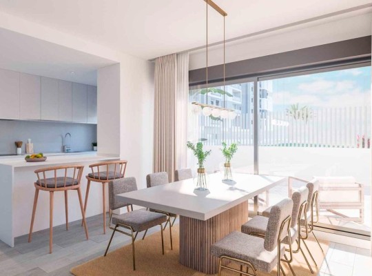 Alicante (PAU 1), Apartment #CQ-00-22699