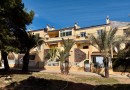 Punta Prima, Apartment #CQ-297